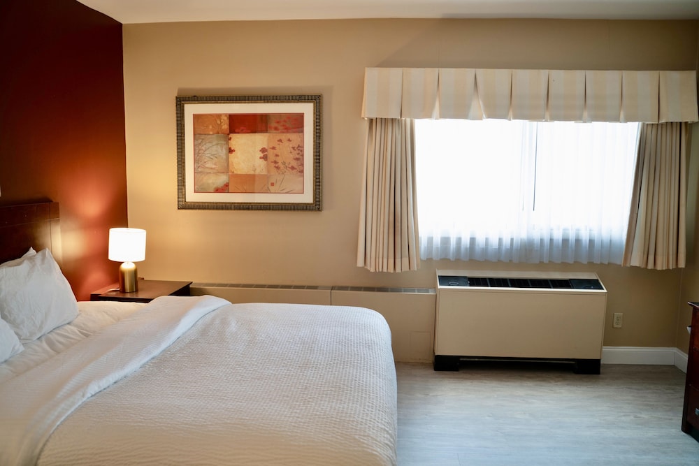 شقة أساسية بسرير كينج مع أريكة، Hotel Boston 4/7