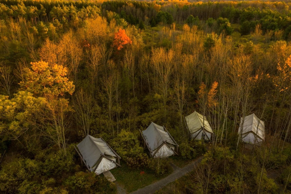Firelight Camps 36/44
