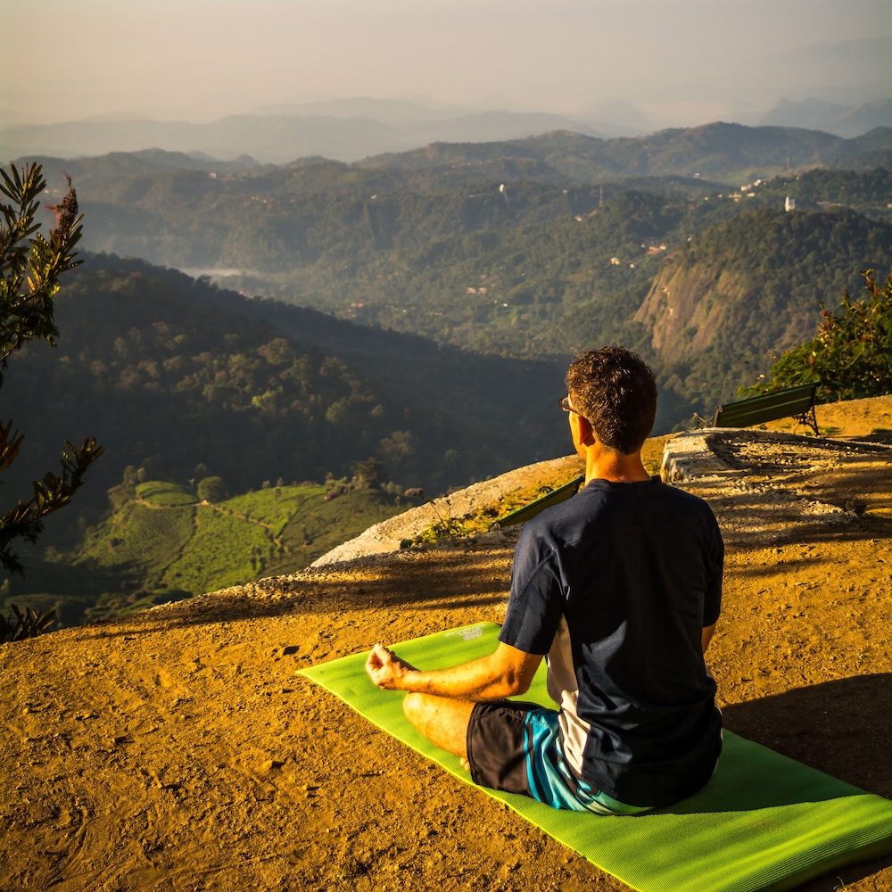 Blackberry Hills Munnar - Nature Resort & Spa 30/73