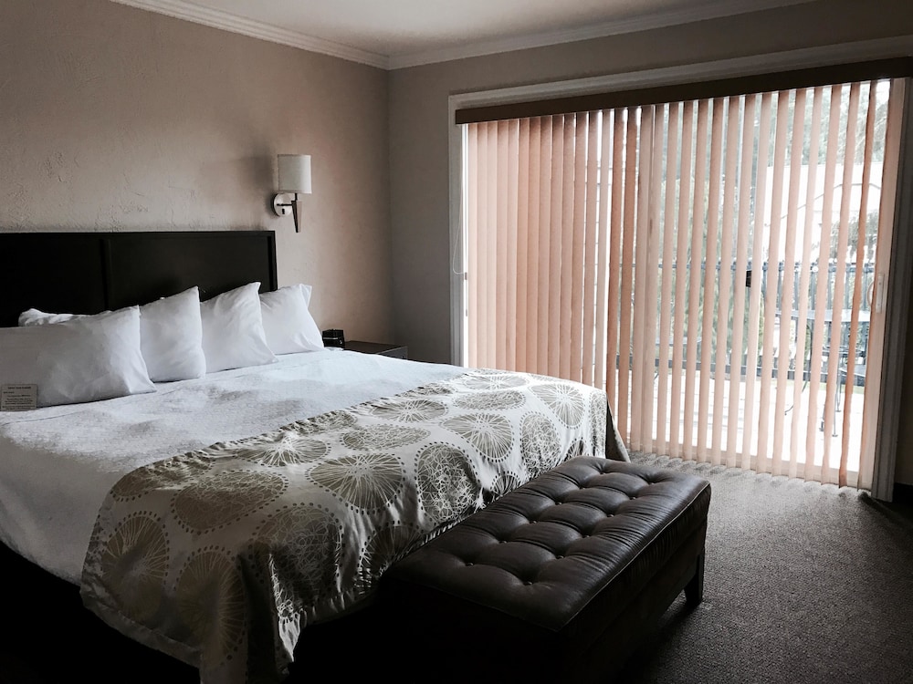 Best Western Wesley Inn & Suites 11/43