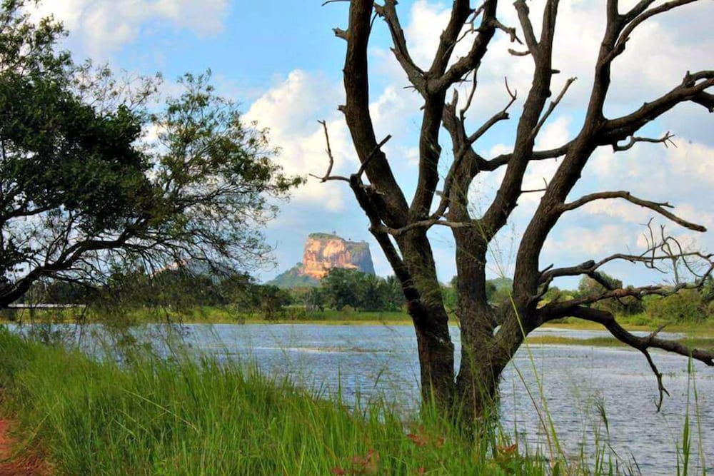 Rho Sigiriya 29/47
