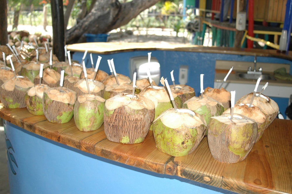 Paraiso Ecolodge 39/59