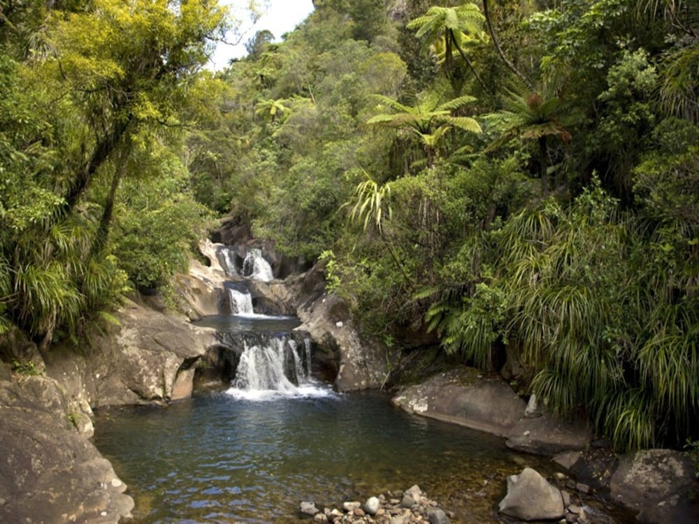 RAPAURA WATERGARDENS 30/36