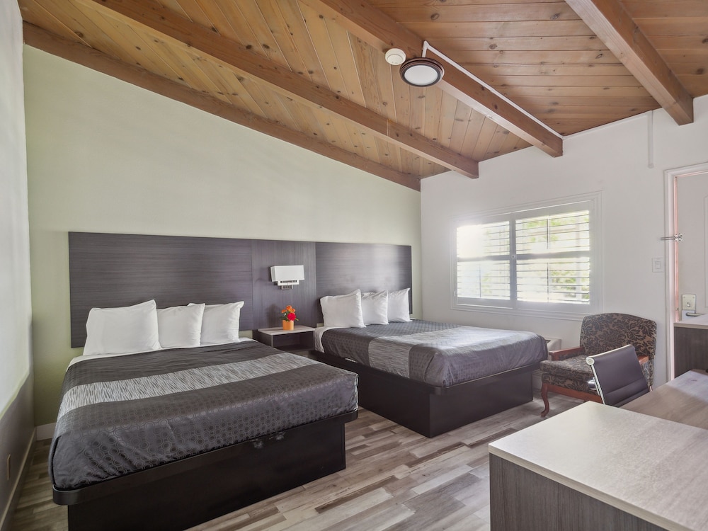 Discovery Inn 18/43