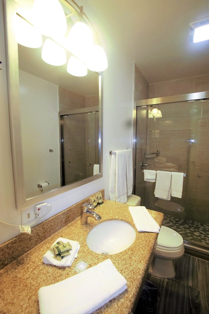 Alpha Inn And Suites (Ex.Knights Inn San Francisco/On Lombard Street) 28/37