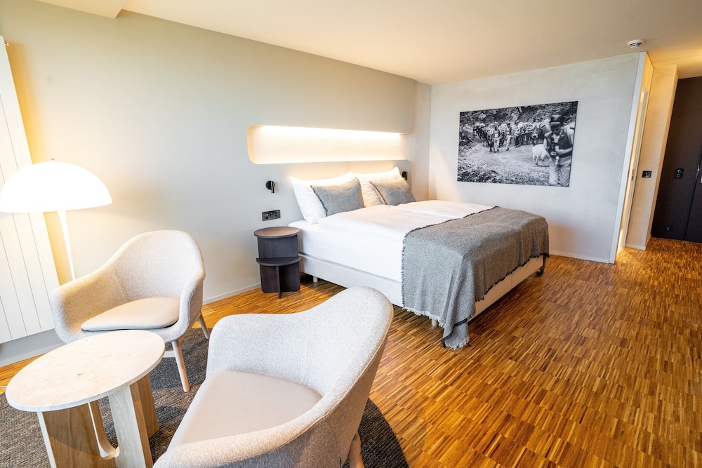 غرفة سوبيريور بسرير مزدوج، Hotel Heiden 16/16