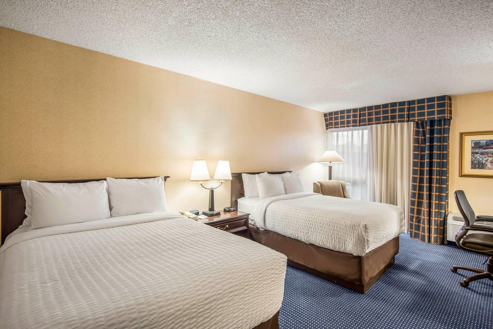 Standard, 2 Double Beds, Atrium View, Pet Friendly