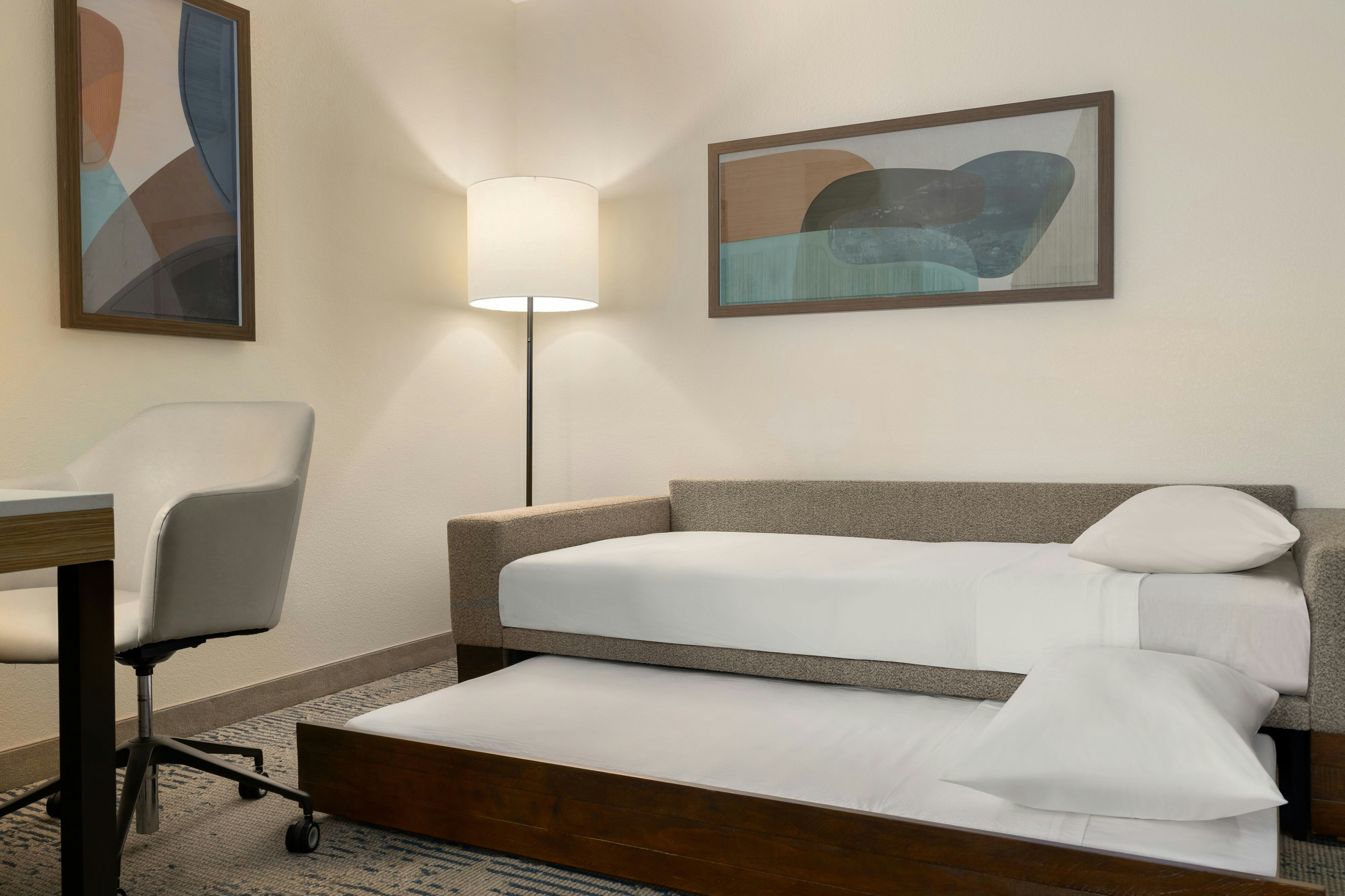 Springhill Suites Tampa Brandon 22/60