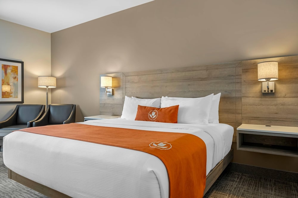 غرفة قياسية بسرير كينج، Amsterdam Inn & Suites Florenceville-Bristol, an Ascend Collection Hotel 2/7