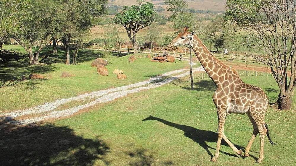 Caracal Lodge 33/36