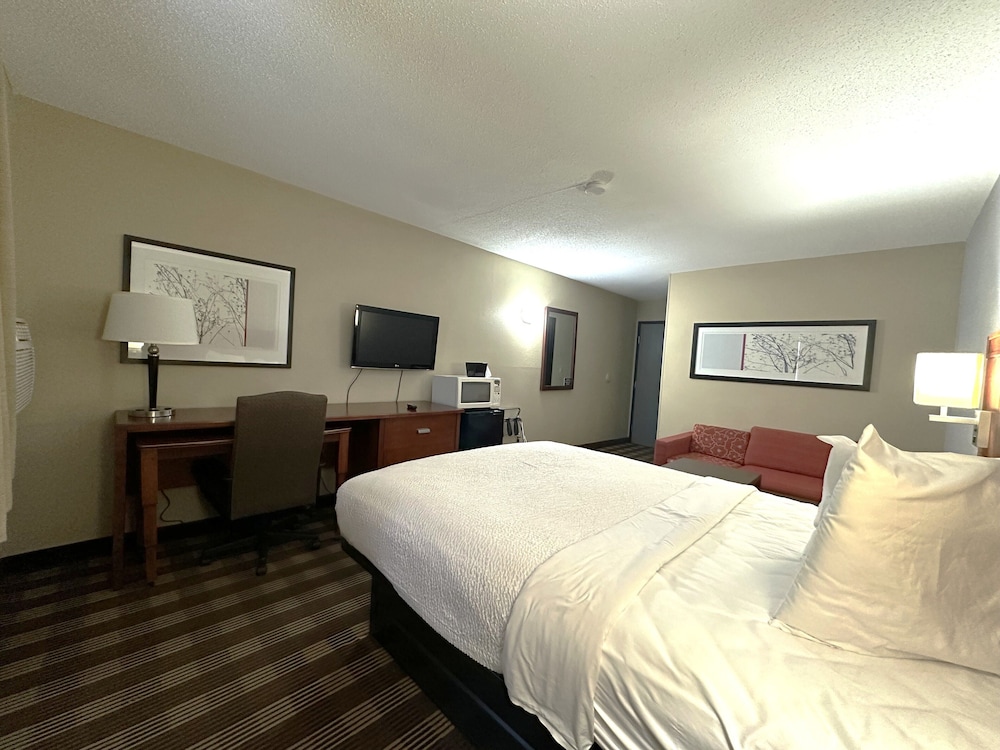 Room, Queen Bed 9/10