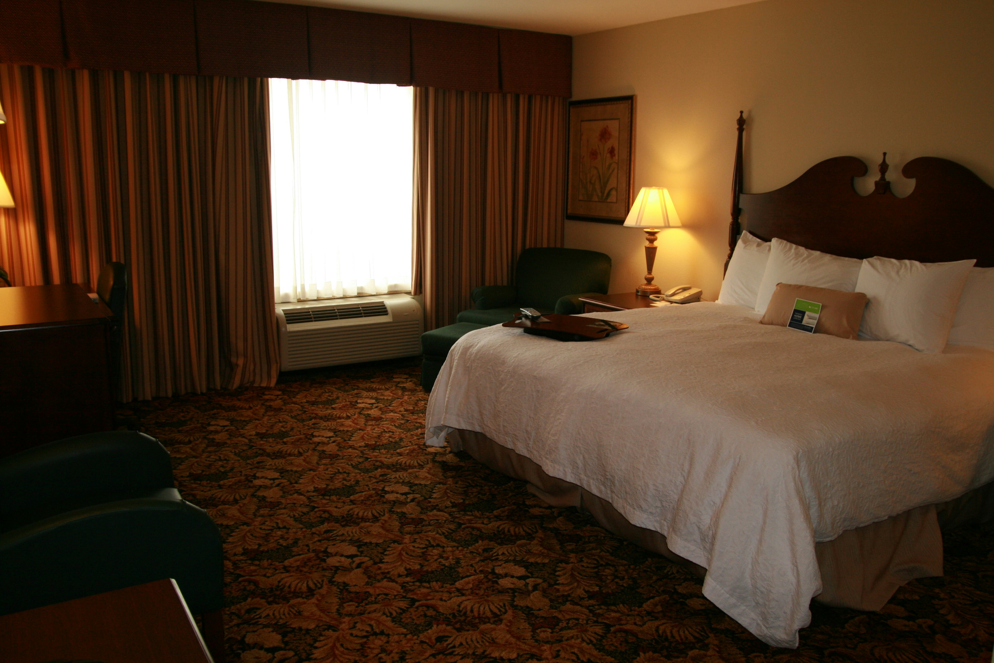 Hampton Inn & Suites Del Rio 13/35