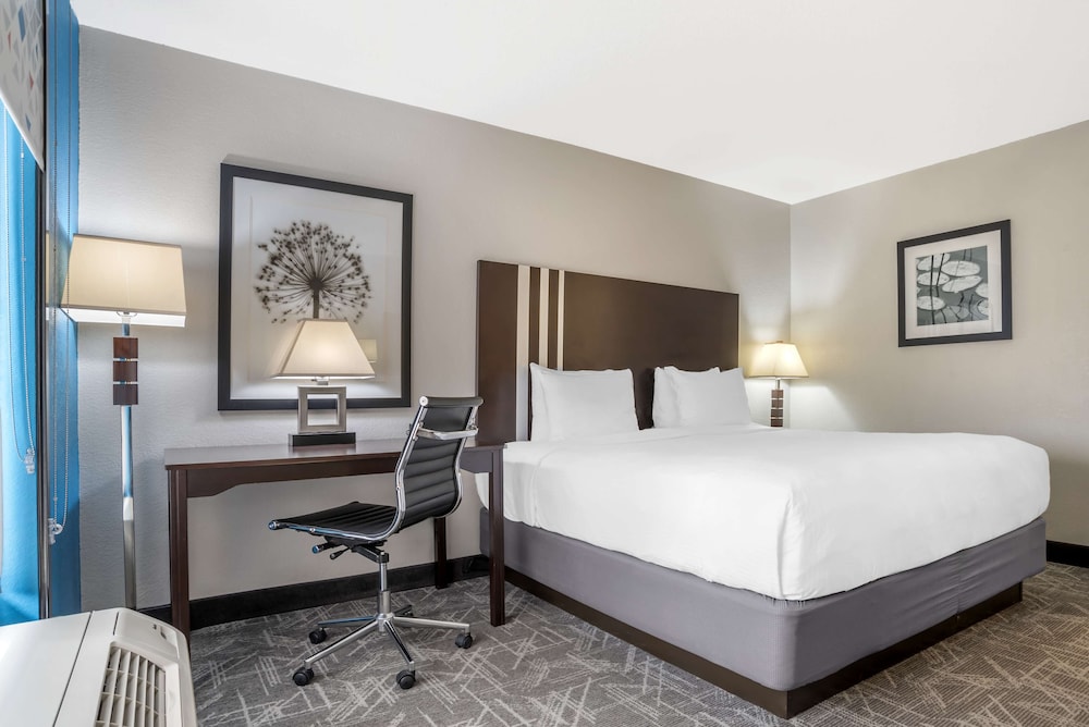Standard, King Bed, Accessible