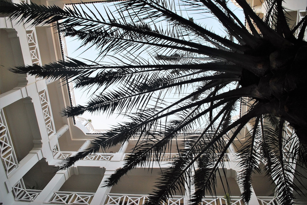 Dar L Oussia 3/50