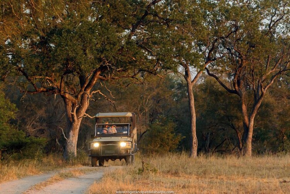 Rhino Walking Safaris 24/41