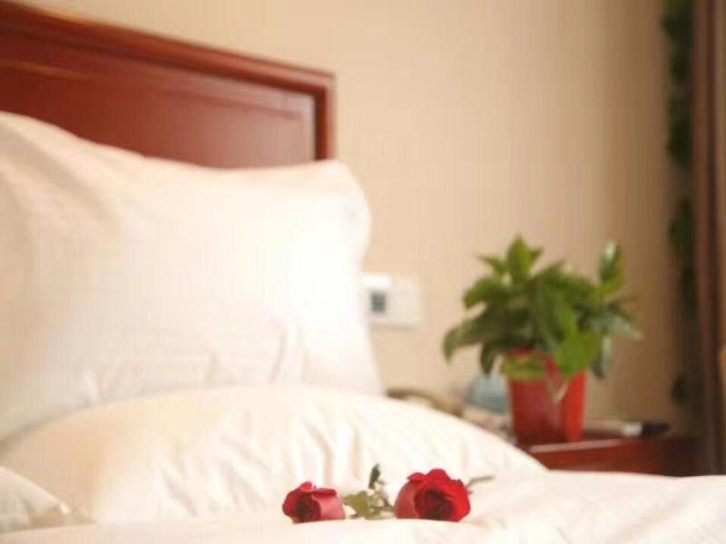 GREENTREE INN SHANGQIU NORMAL COLLEGE WENHUA(W)ROAD HOTEL 40/54