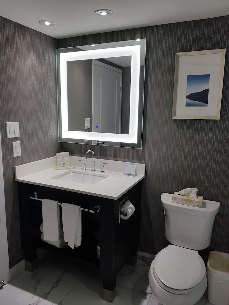 Embassy Suites By Hilton Toronto Airport 43/55