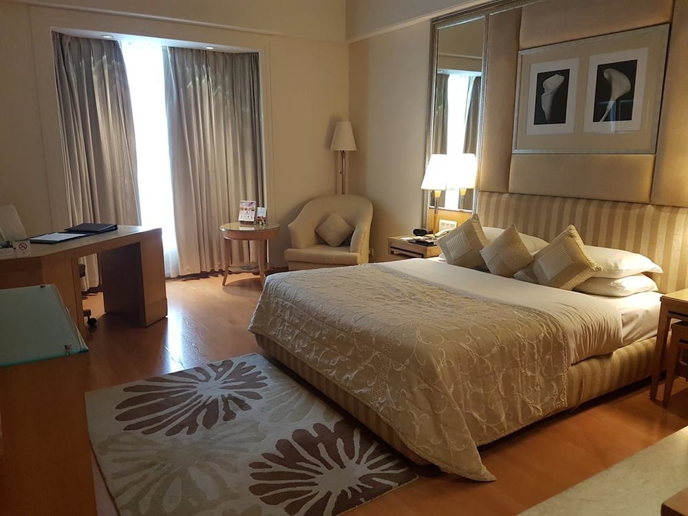 Park Plaza Gurugram 14/66