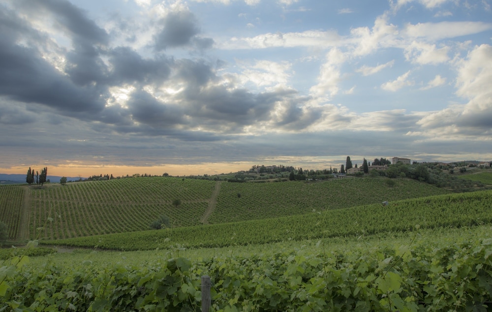 Belvedere Di San Leonino 40/50