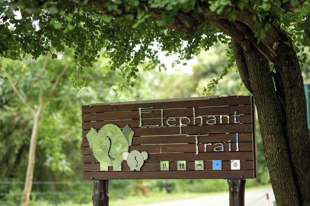 Elephant Trail 6/50