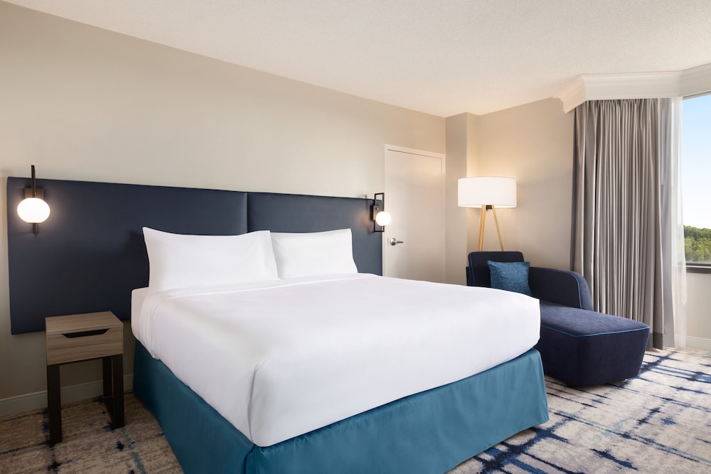 Standard, King Bed, Accessible