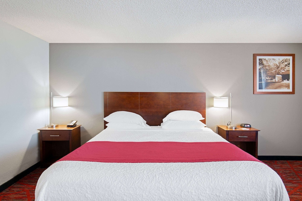 Deluxe, Studio, Suite, King Bed