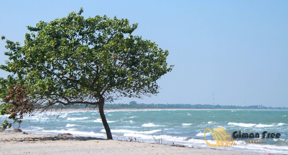 GIMAN FREE BEACH RESORT 58/67