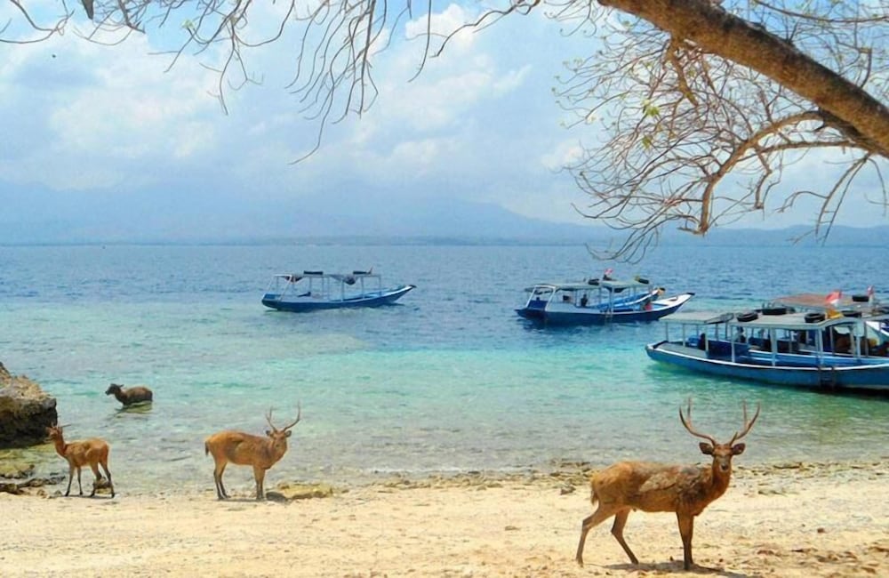 Dewantara Boutique Villa Resort 35/50