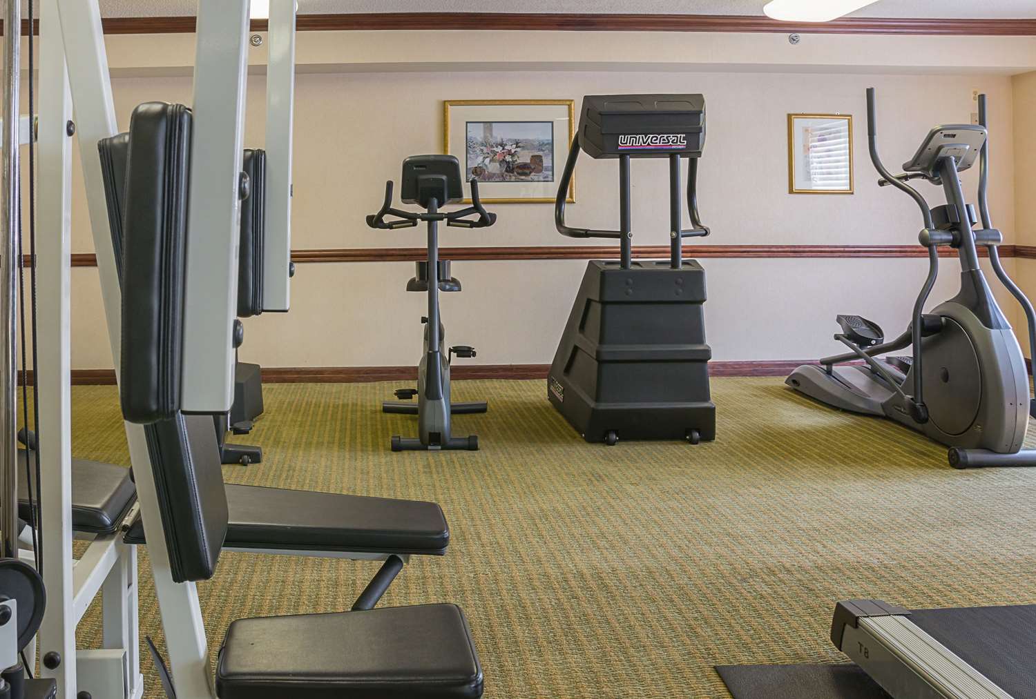 Quality Inn and Suites Detroit Metro Airport 16/27