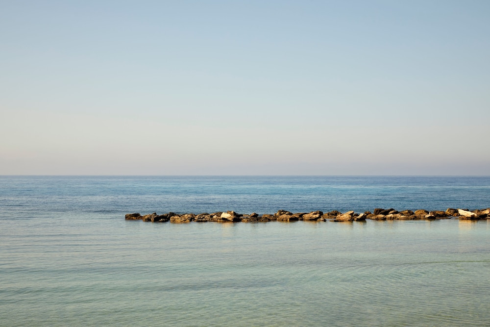 Mare Ayia Napa 44/48