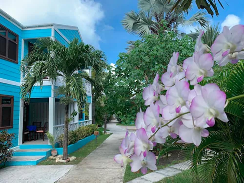 BUCCANEER BEACH CLUB 66/71