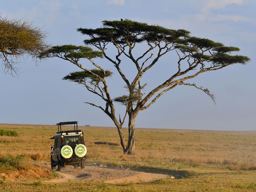 SERENGETI WILDEBEEST CAMP 52/55