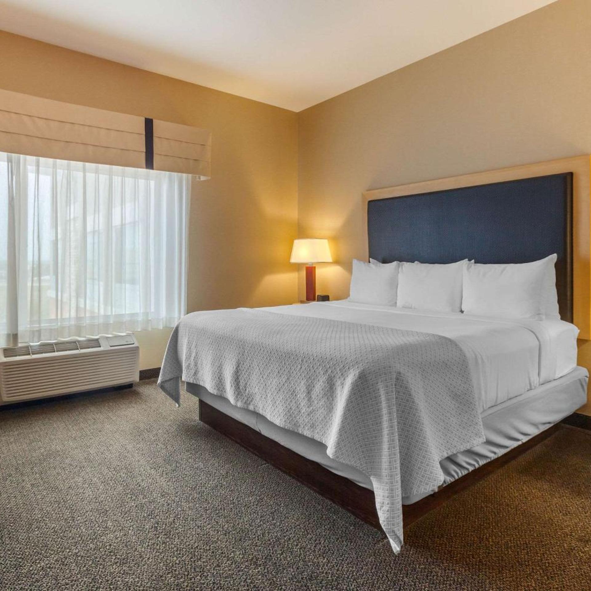 Suite, King Bed, Mountain View, Accessible