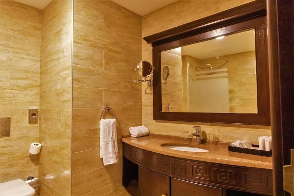 Petra Canyon Hotel Petra 46/51