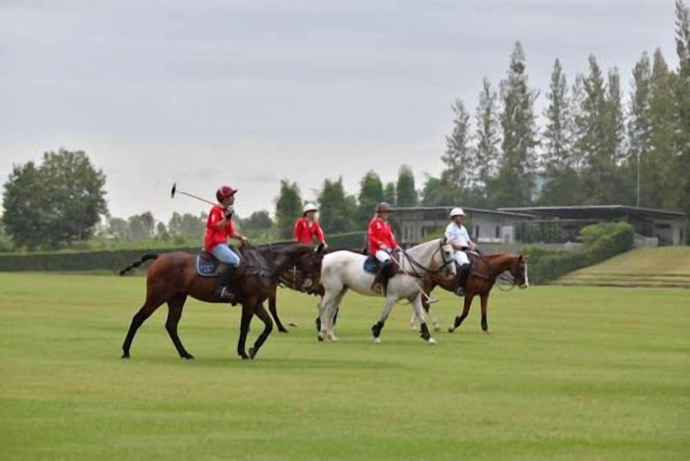 Polo Escape 28/49