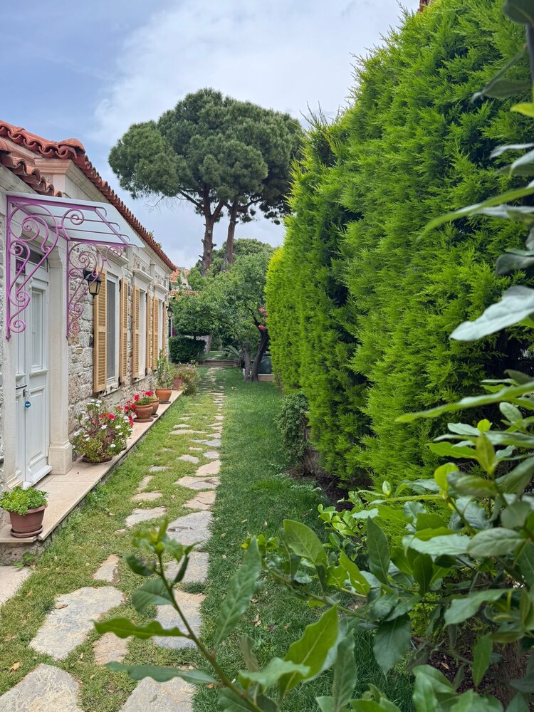 Mi Amor Phokaia Konuk Evi Foca 20/22