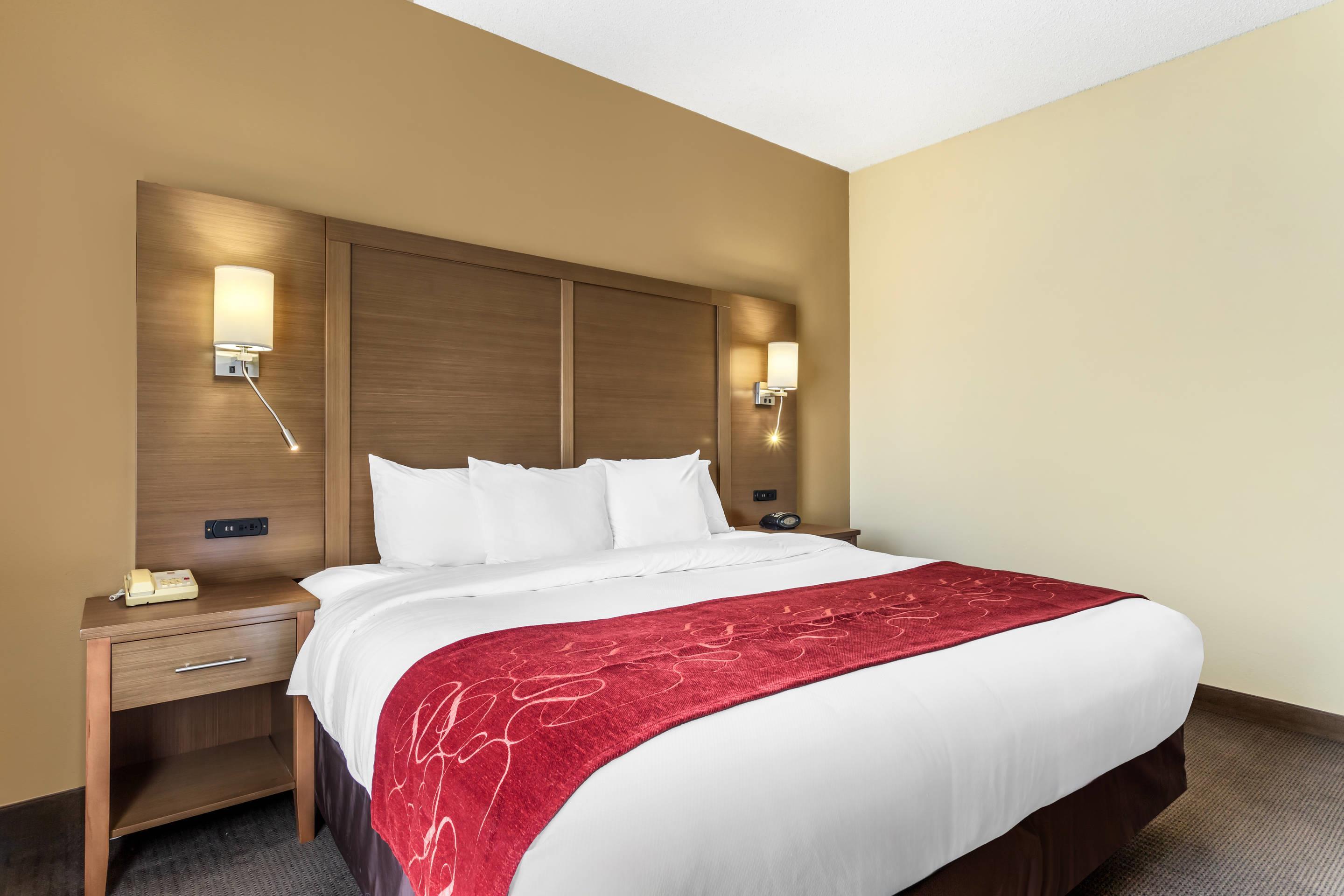 Efficiency, Suite, King Bed
