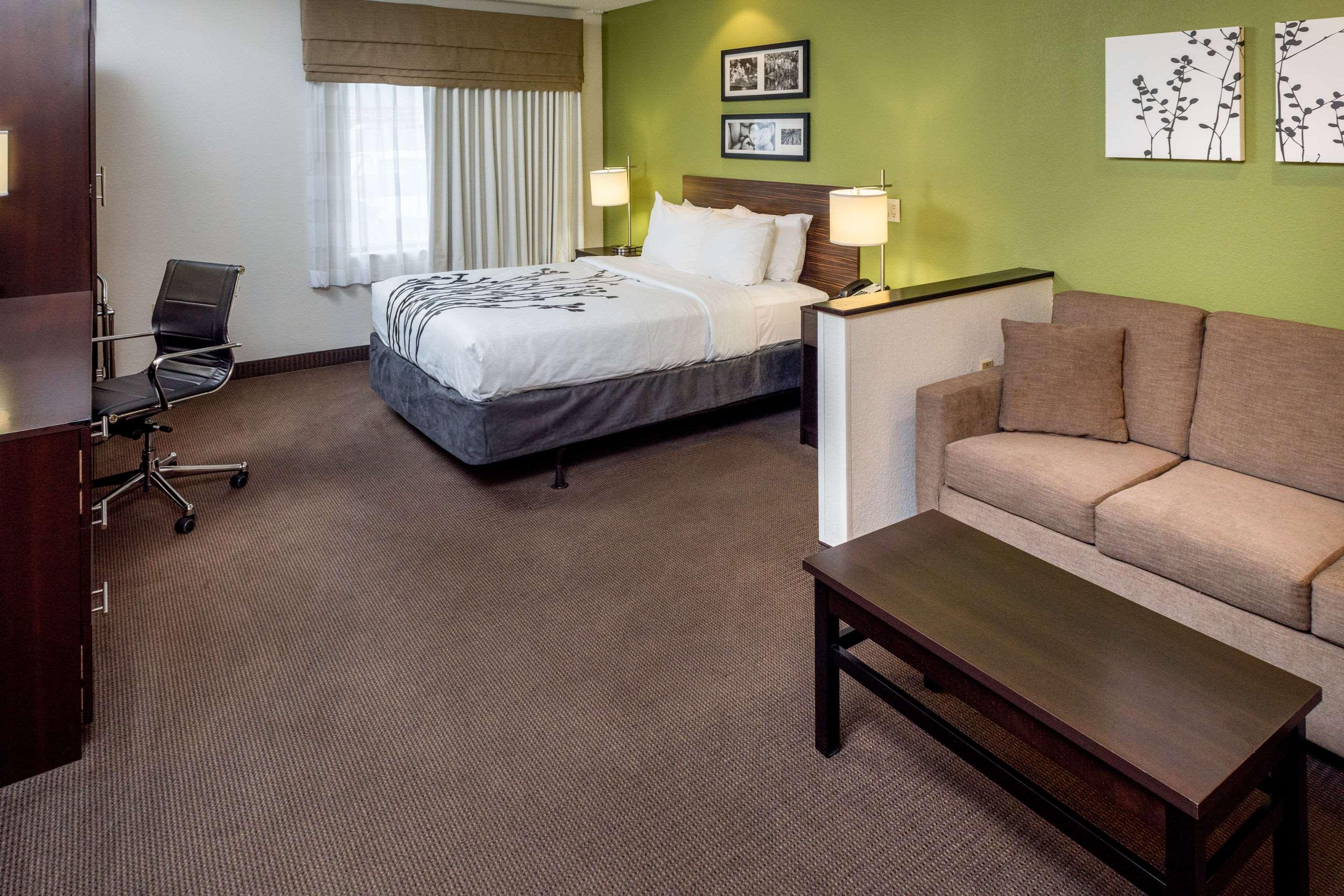 Suite, Queen Bed, Accessible
