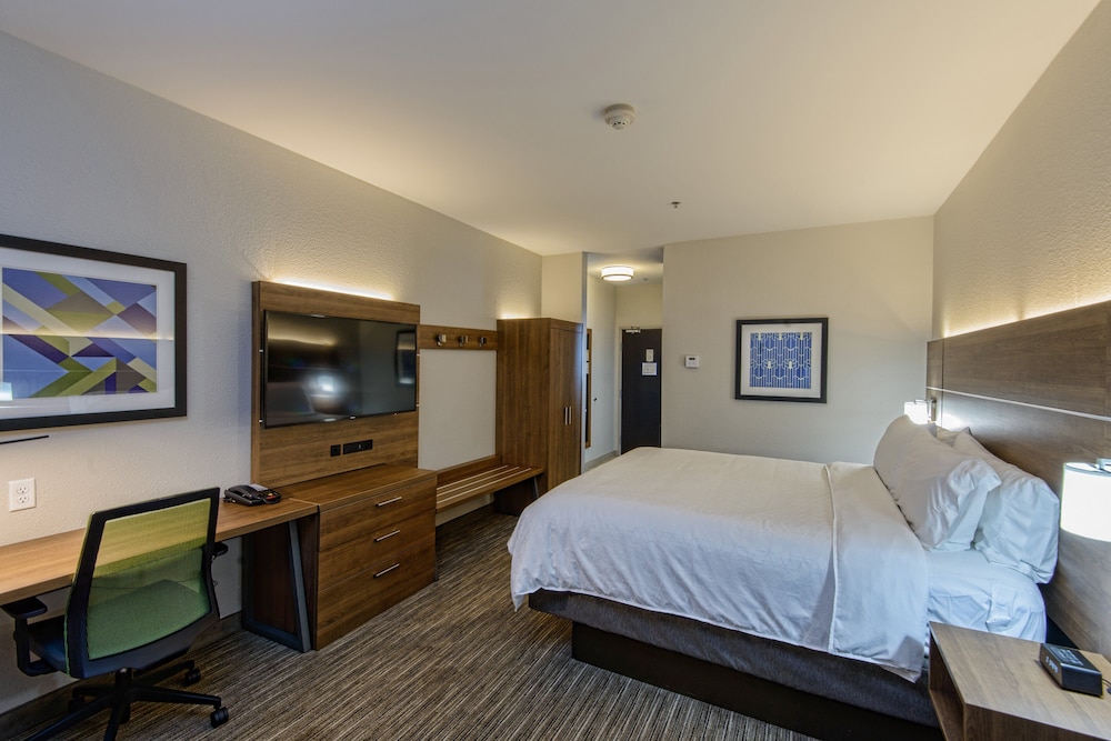 Holiday Inn Express Hotel & Suites Corpus Christi 15/44