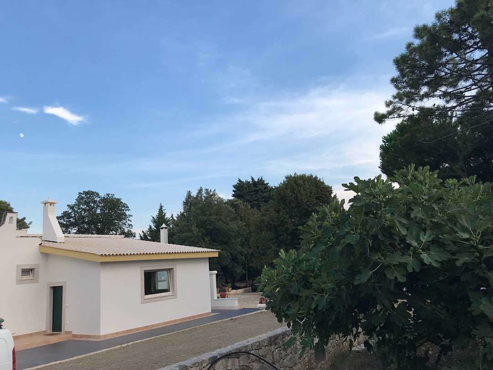 B&B Trulli E Mare 26/36