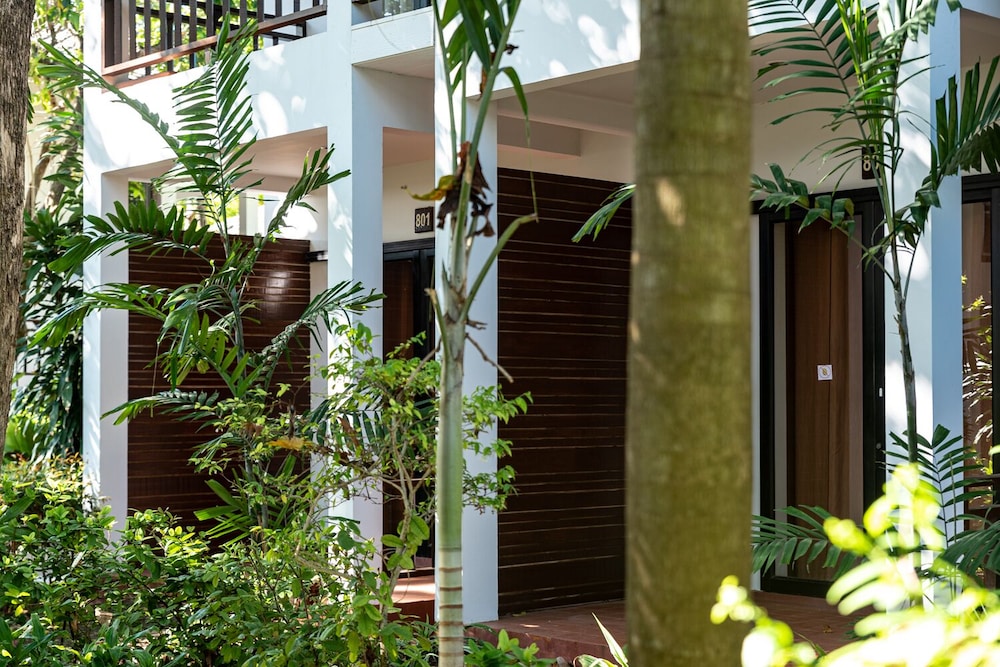 The Hive Hotel Samui 7/71