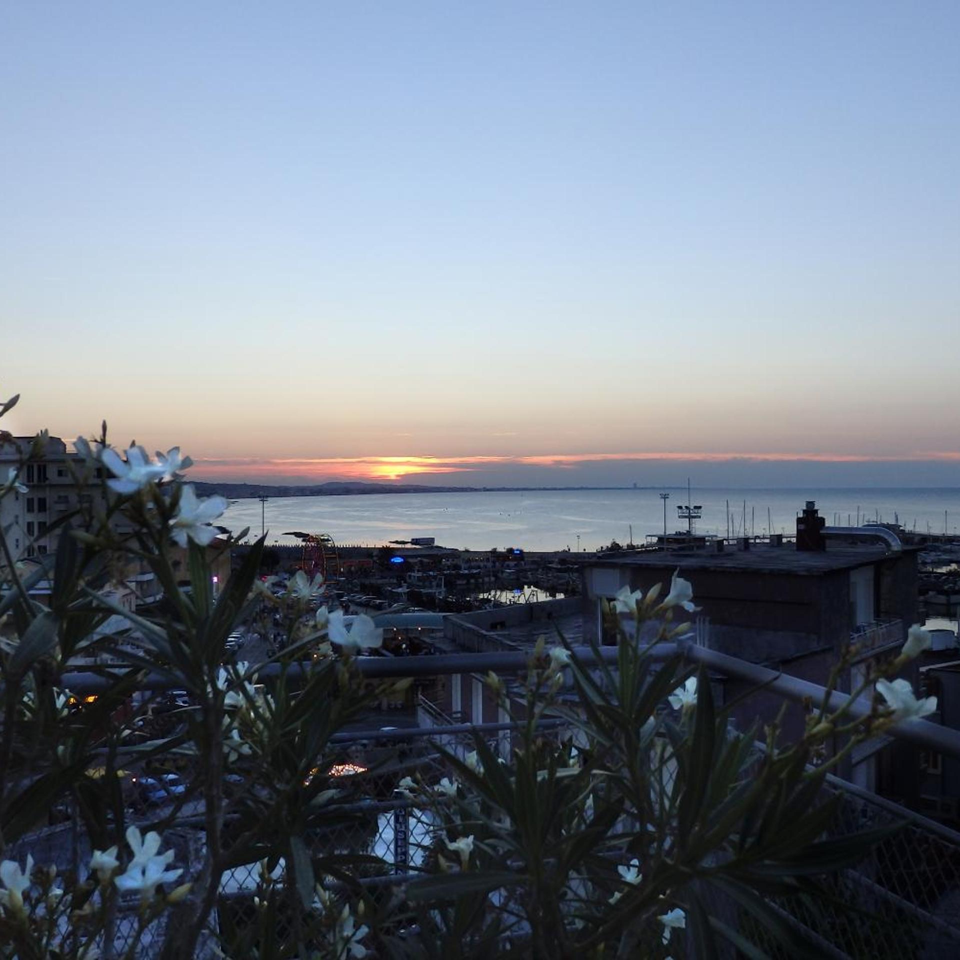 Residence Adriatico 41/50