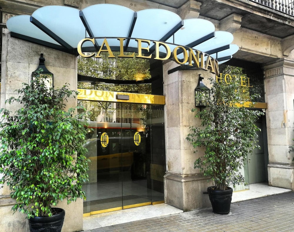 Caledonian 6/56