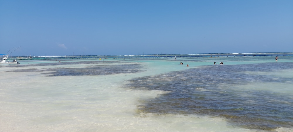 Palmeras de Mahahual Cabanas 29/39