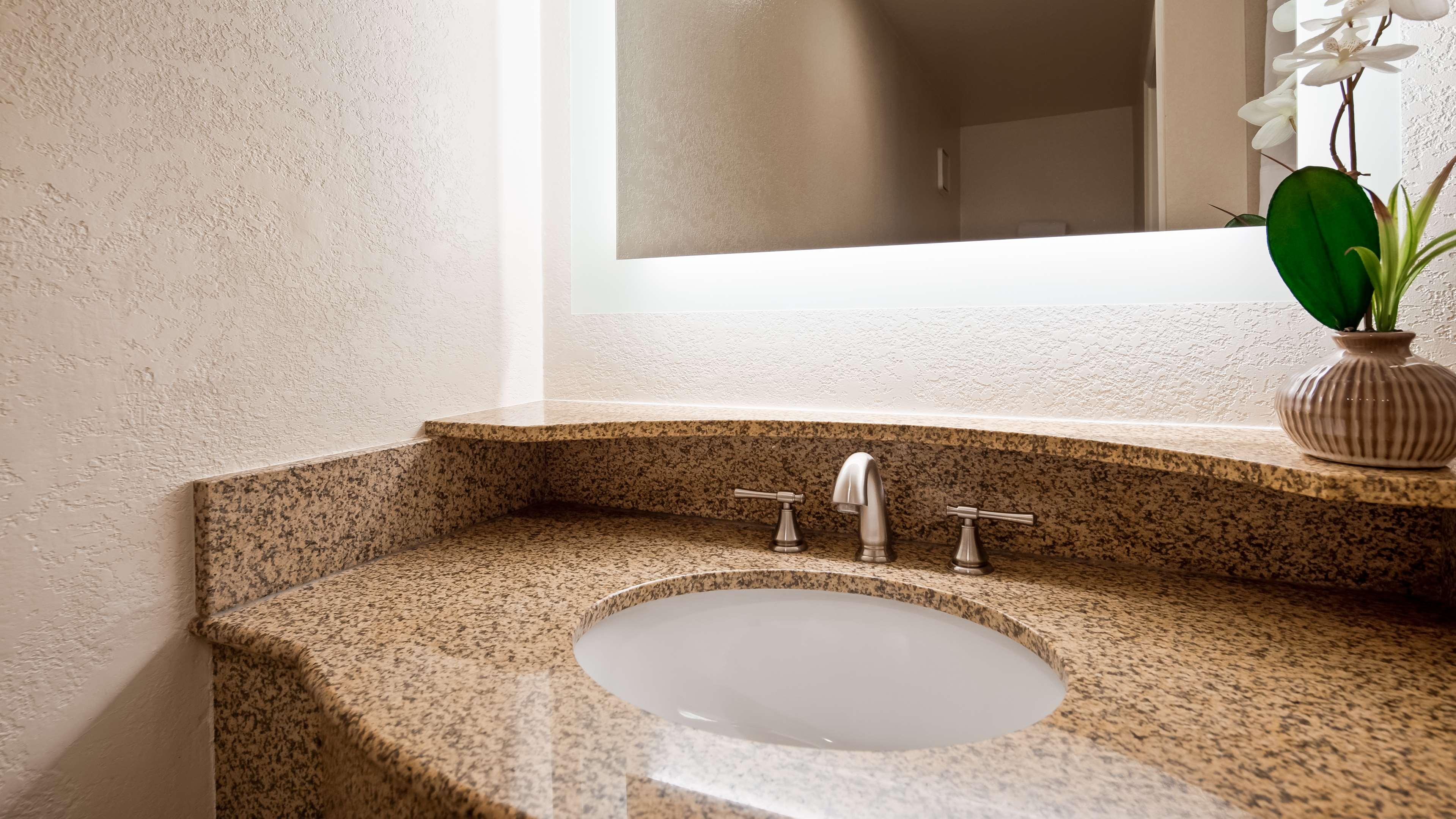 غرفة بزنس بسرير كينج، Best Western Plus Ontario Airport & Convention Center 13/14