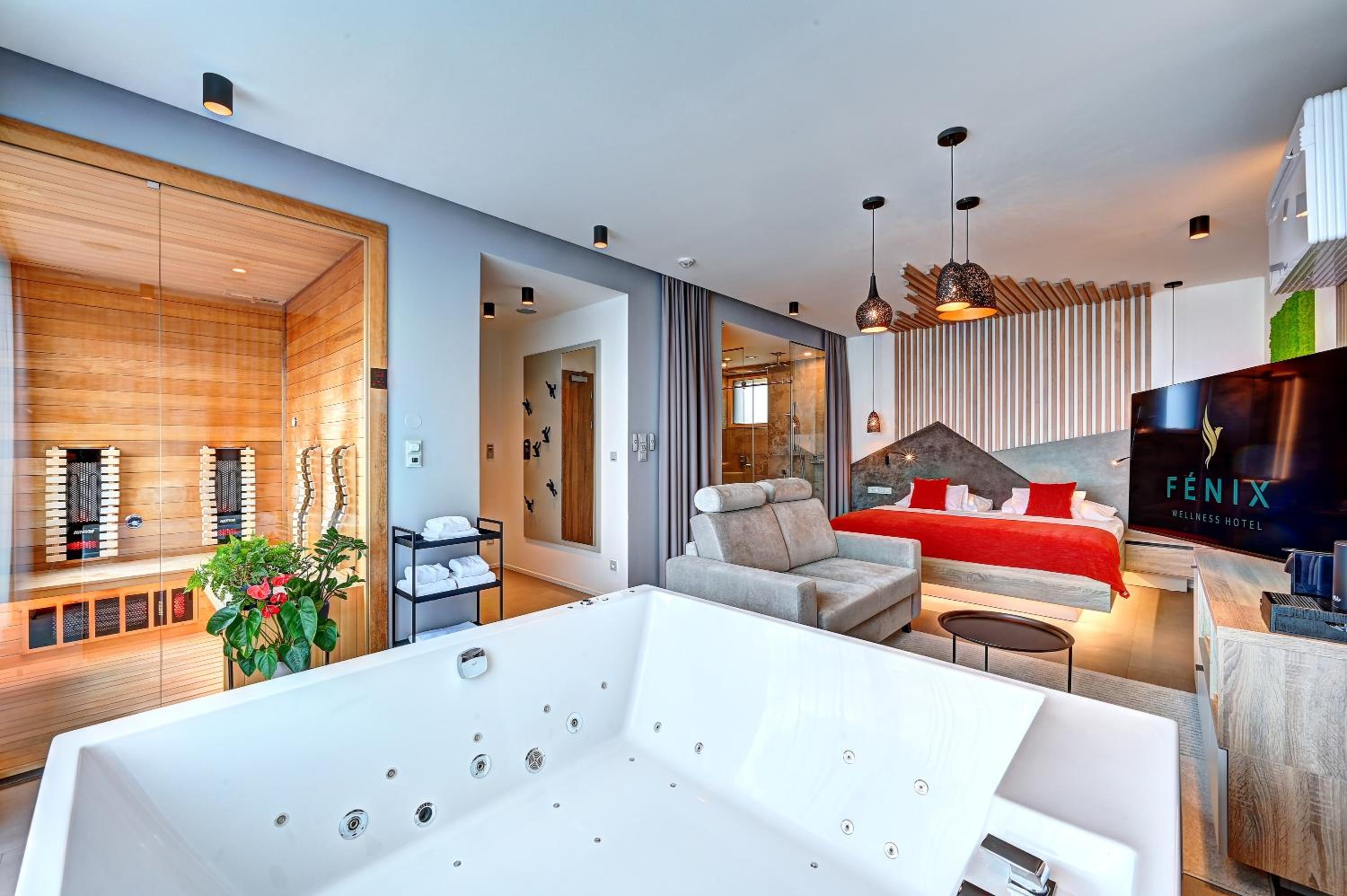 Wellness Hotel Fenix liberec 9/65