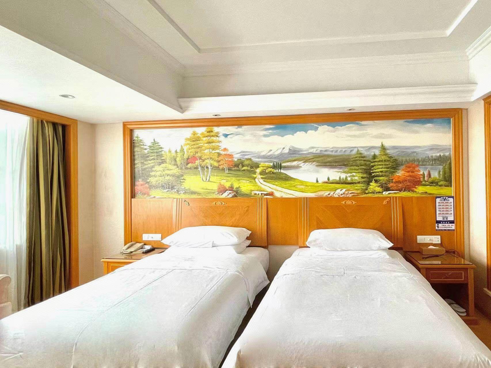 Vienna Hotel (Dongguan Baihuadong) 23/51