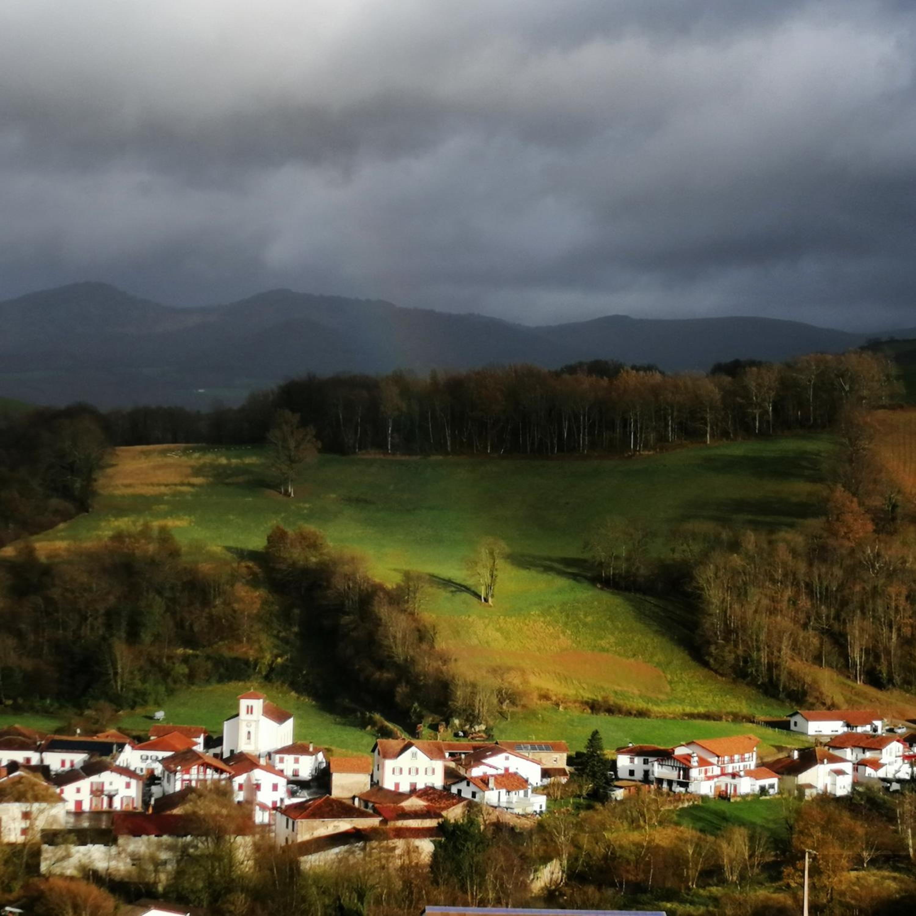 surroundings