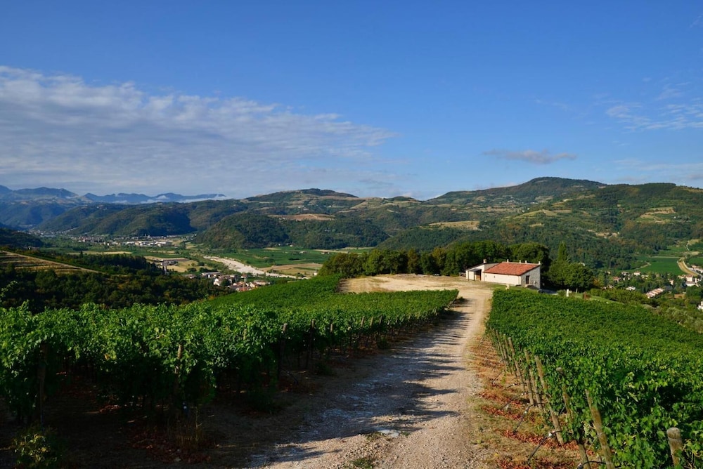 Tenuta Le Cave 70/79