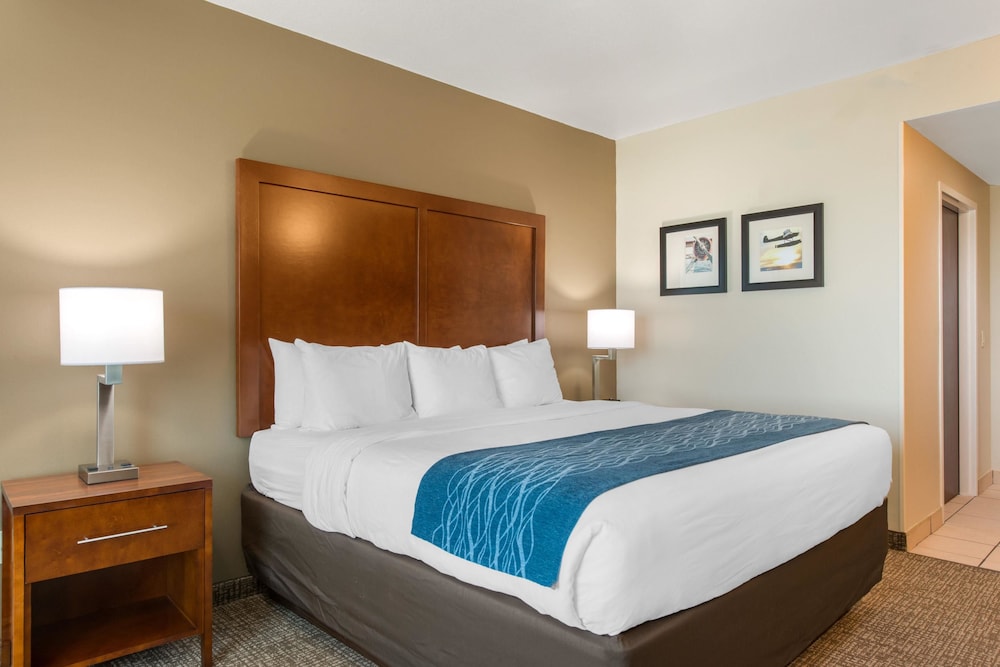 Comfort Inn and Suites Tavares North 8/38